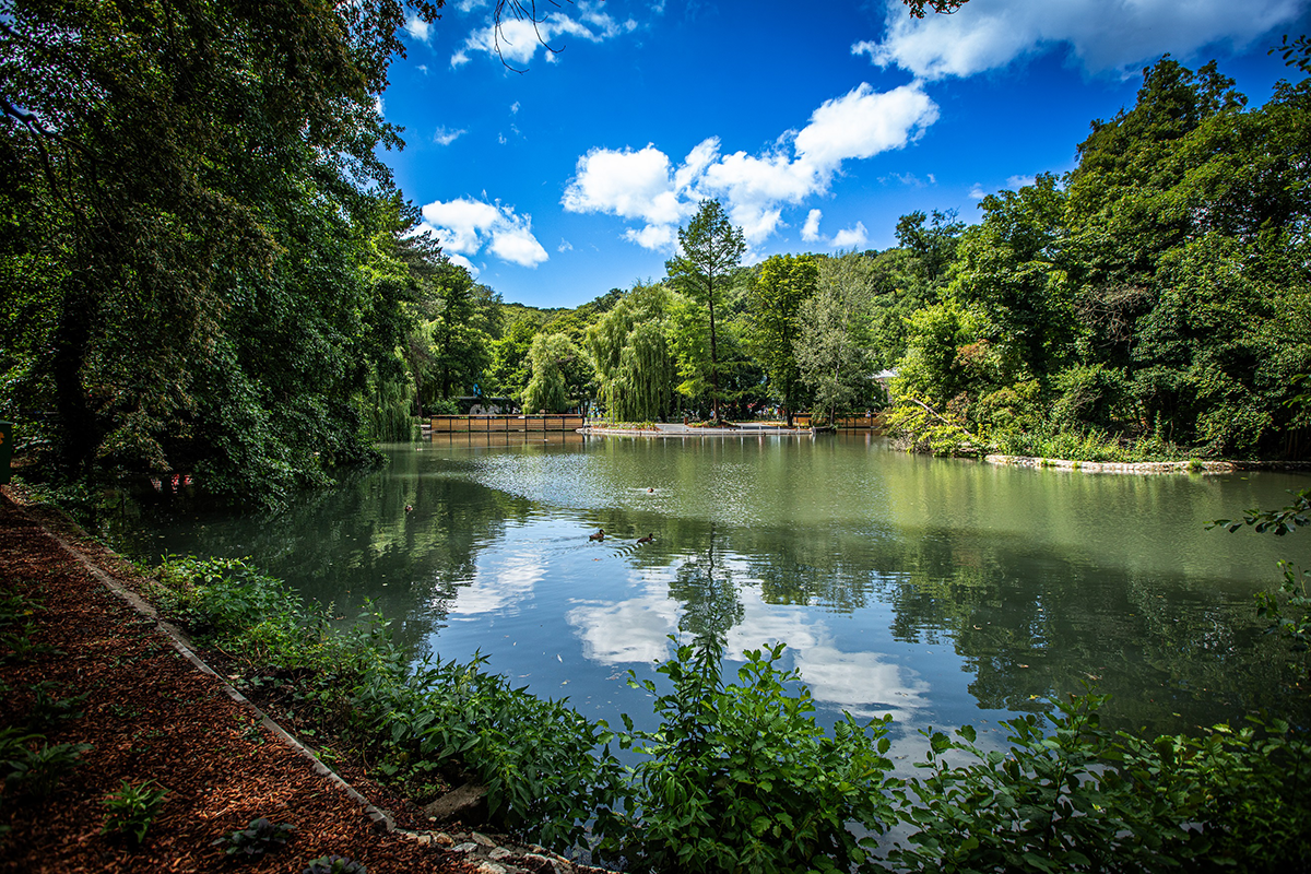 Őspark és Arborétum